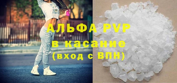 гидра Белокуриха