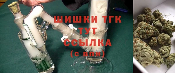 эйфоретик Сосновый Бор