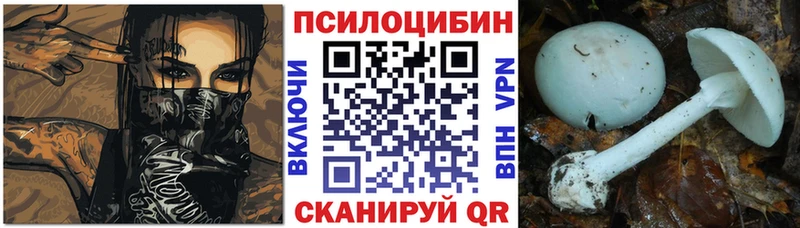 где продают Вуктыл OMG онион Псилоцибиновые грибы GOLDEN TEACHER